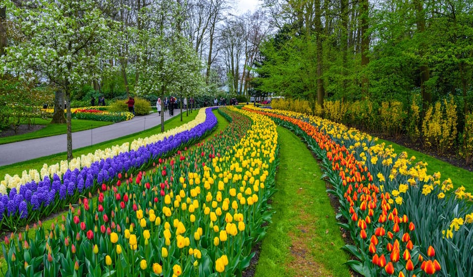 keukenhof jegy amsterdam